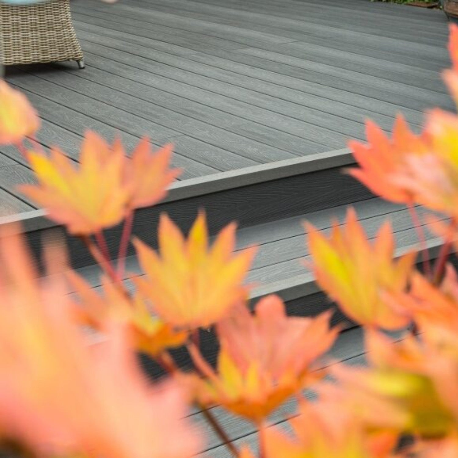 autumnal decking