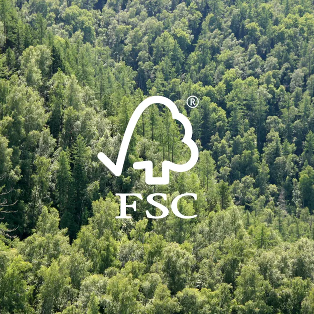 FSC logo over a dense forest