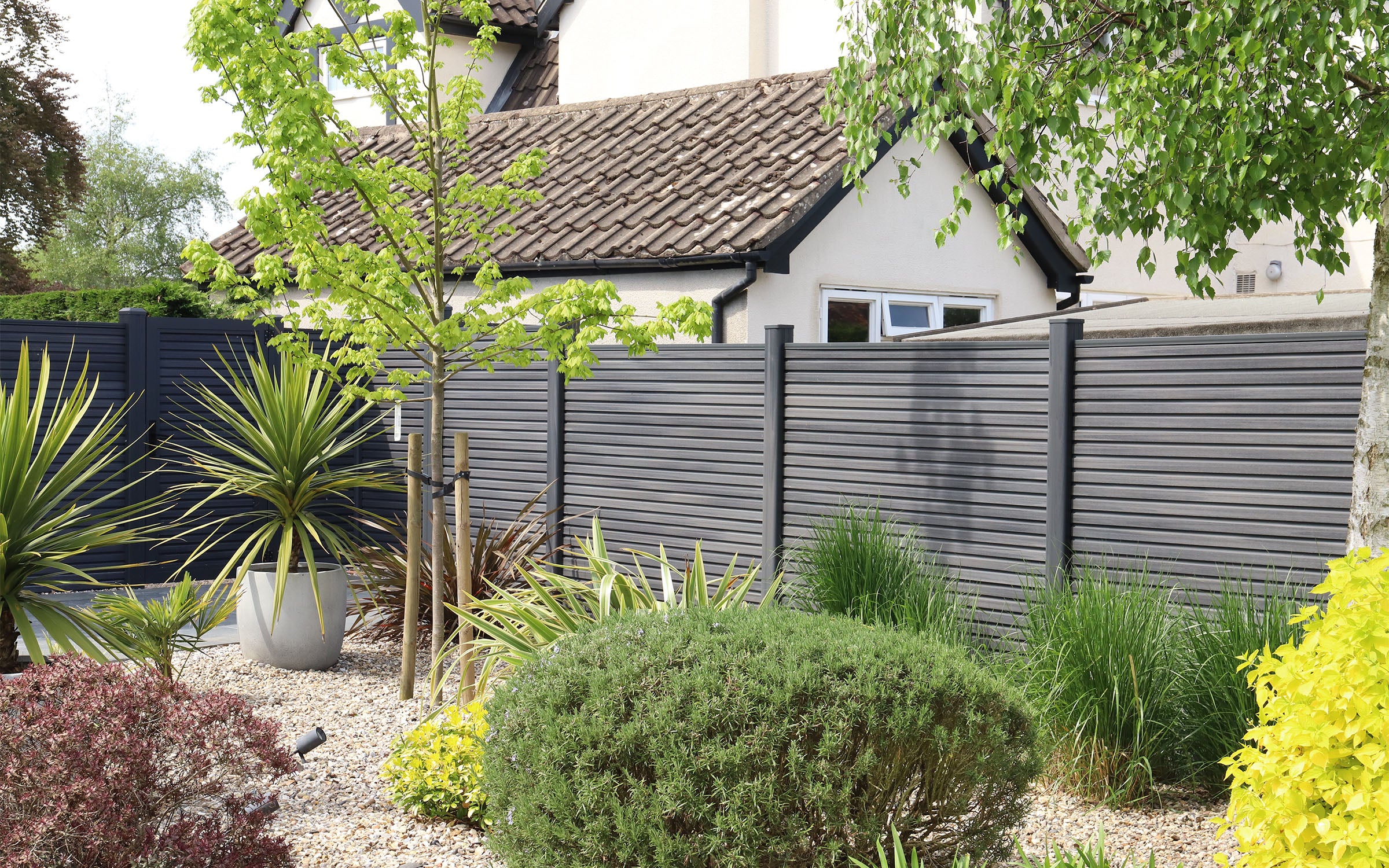 garden with a grey composite fence, plants, and a house in the background