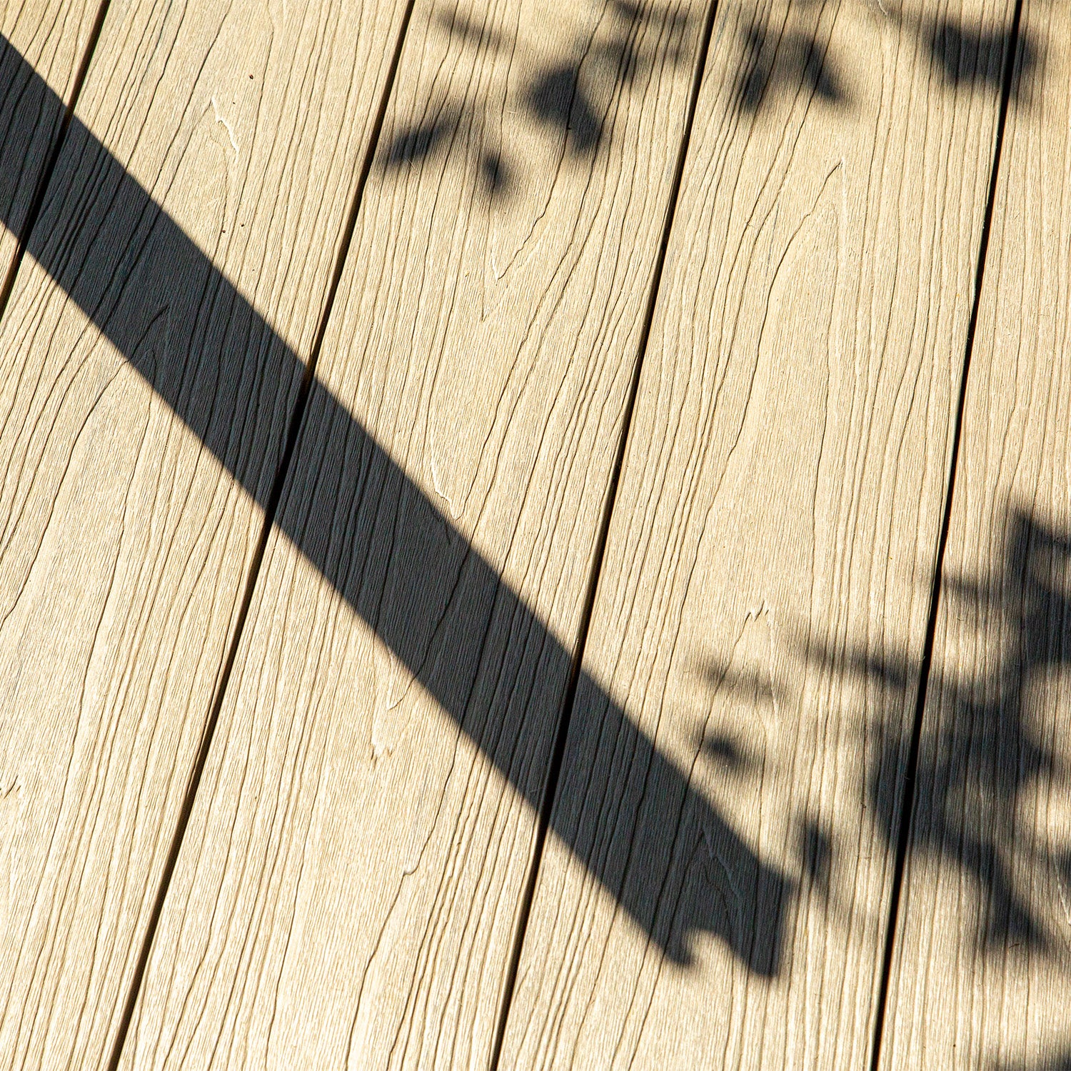Plant Shadow Cast Across A NeoTimber Deluxe Composite Decking Surface