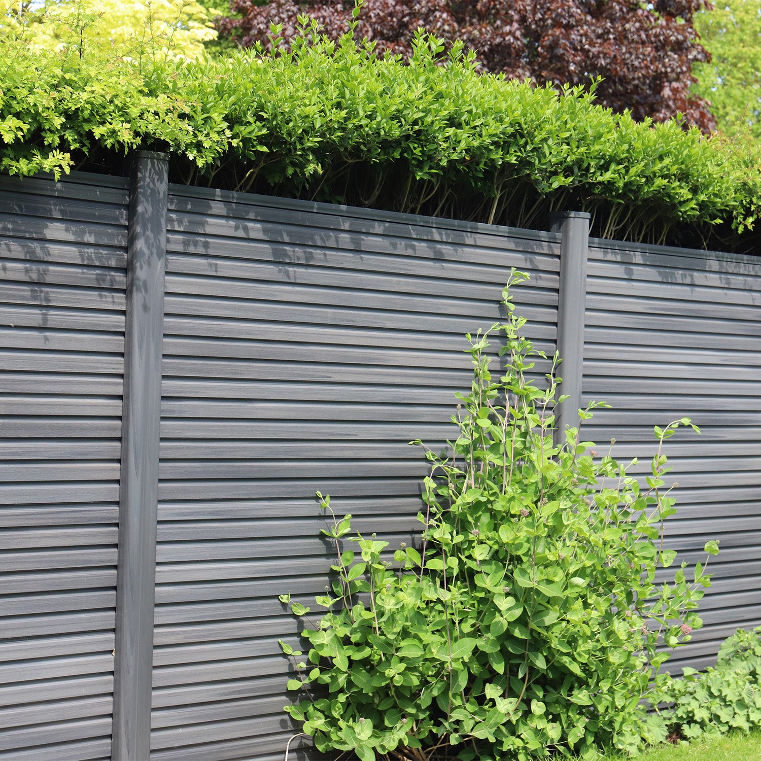 grey composite fence panels with green shrubs in front