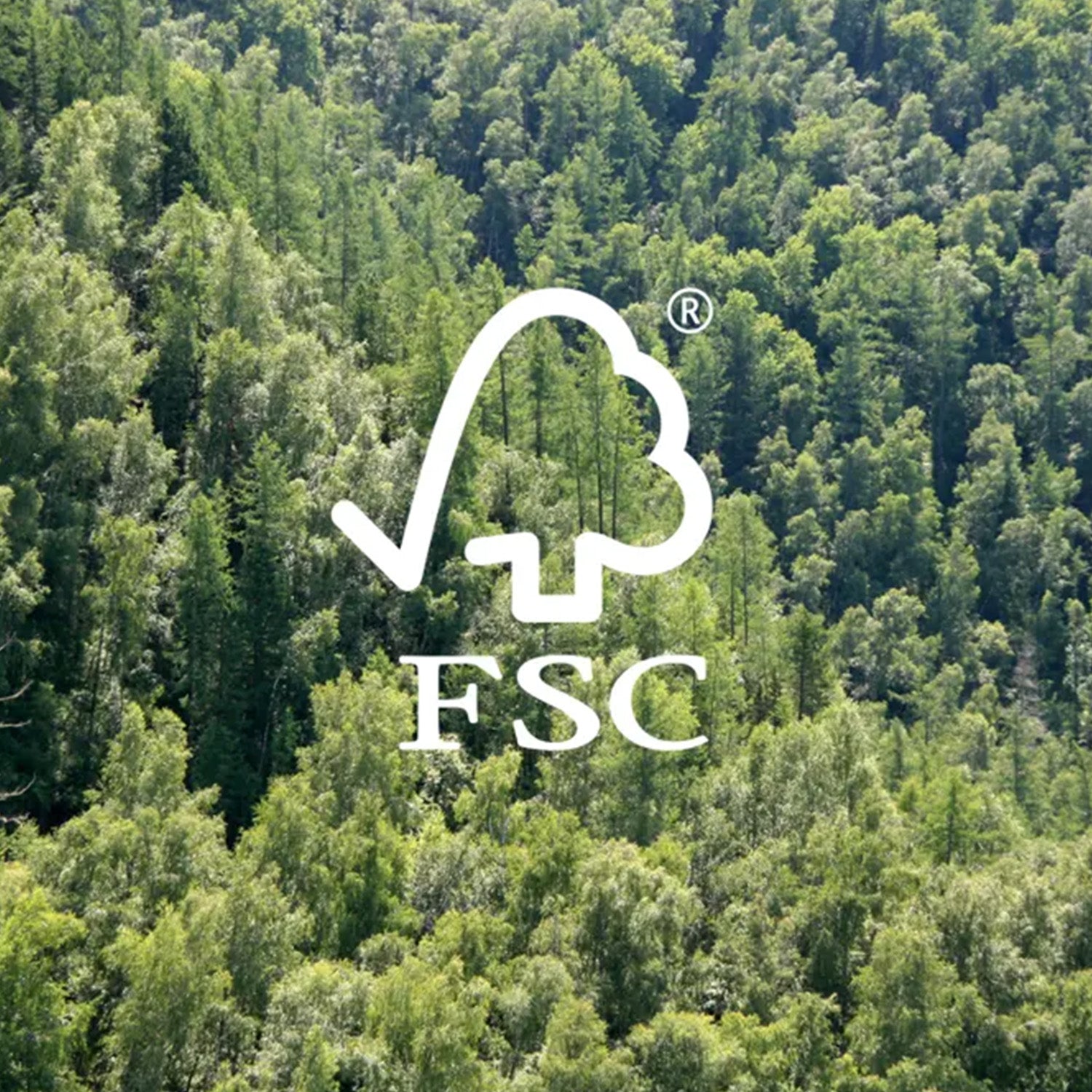 FSC logo over a forest background