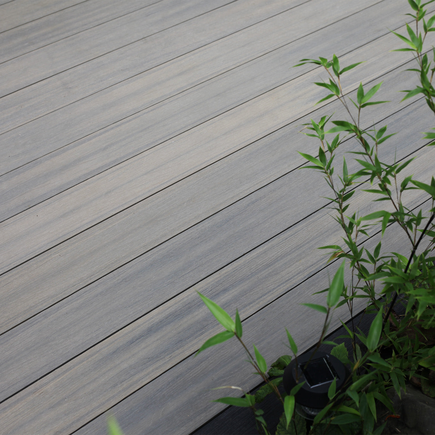 Two-Tone Composite Decking With Natural Colour Variation And Surrounding Garden Planting