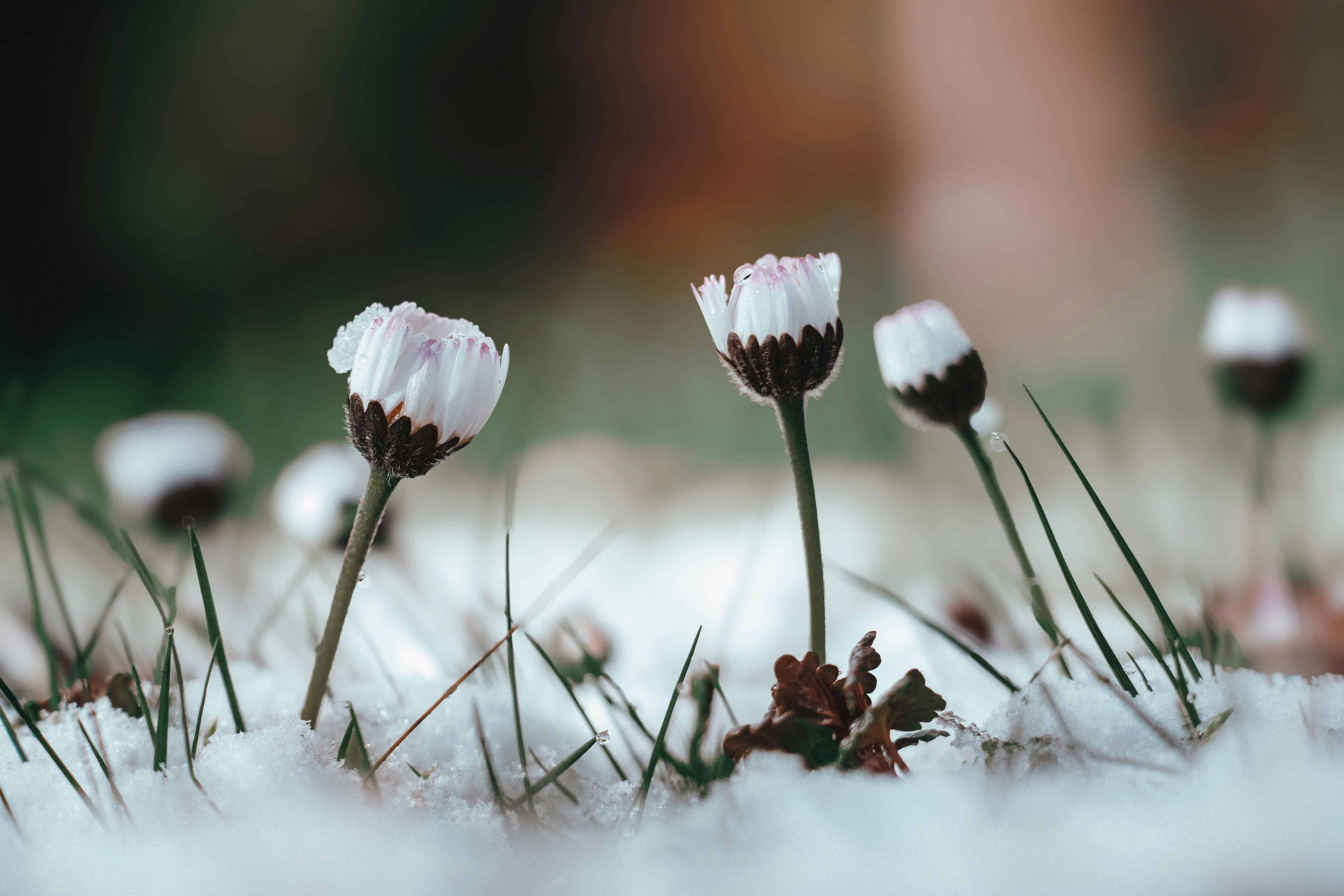 can you install composite decking in cold weather