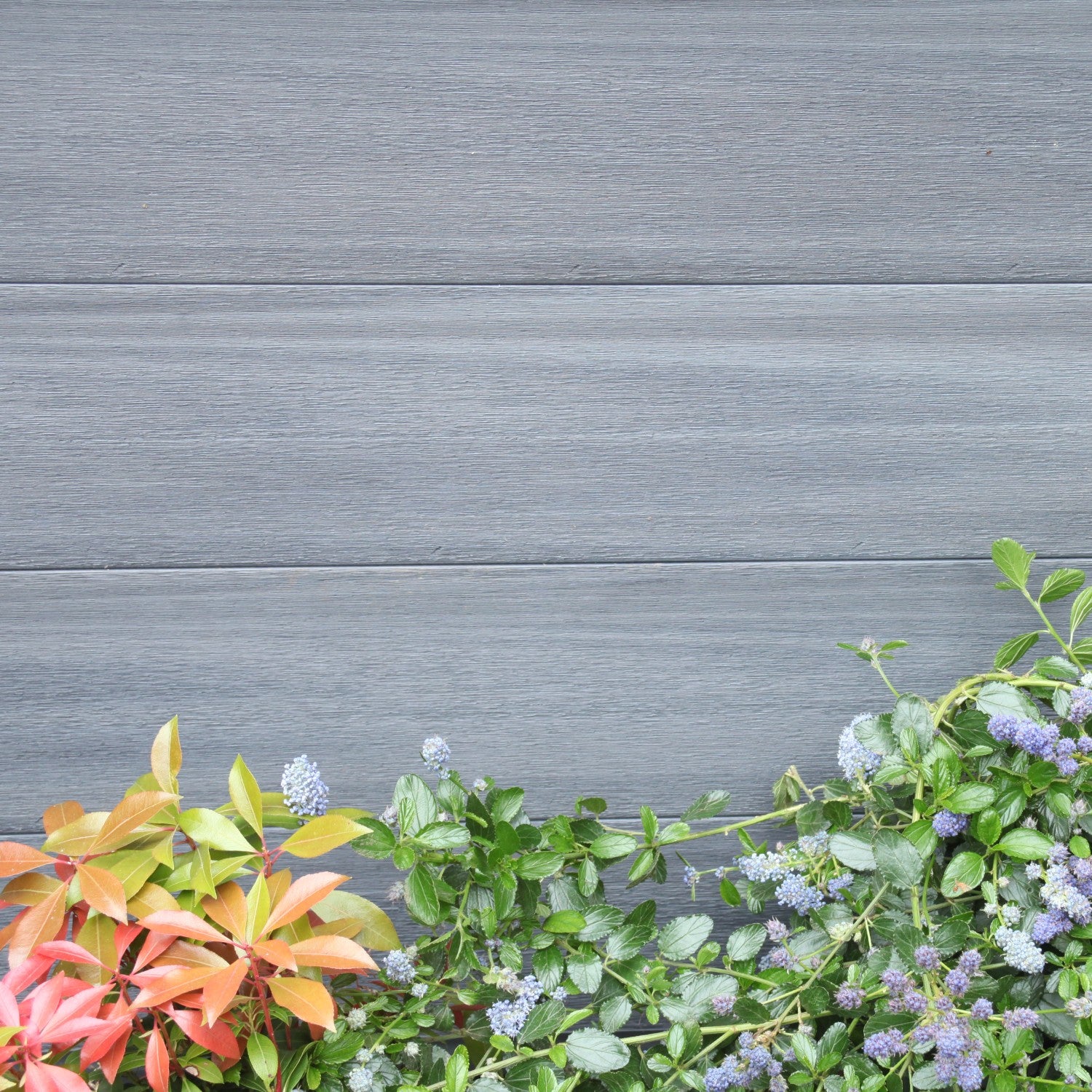 NeoTimber Deluxe Composite Fence Panel Set With Contemporary Design – Choice Of Two Refined Textures