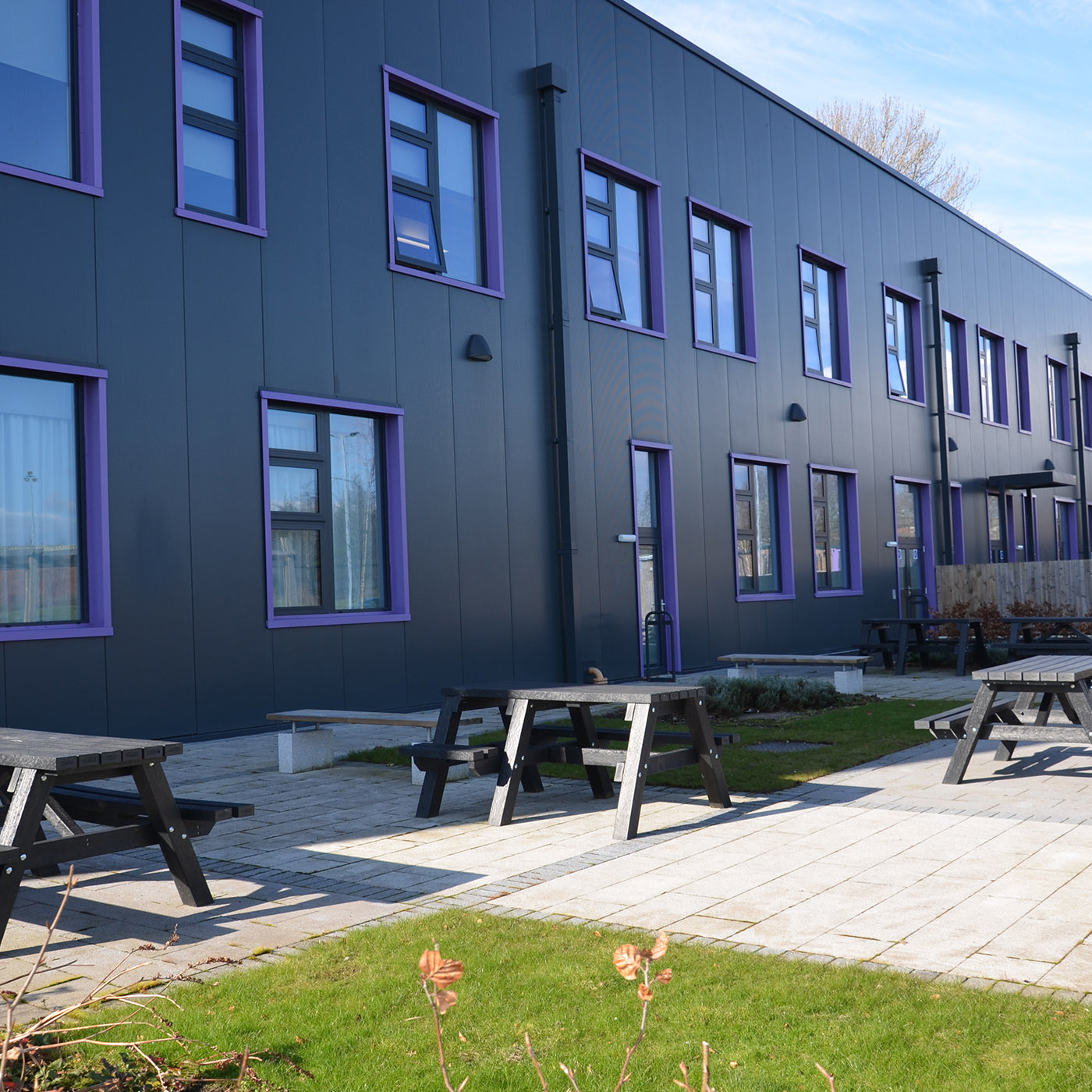 Modern Commercial Building With Purple-Framed Windows And NeoTimber Recycled Plastic Benches