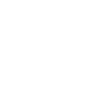 neotimber strength icon