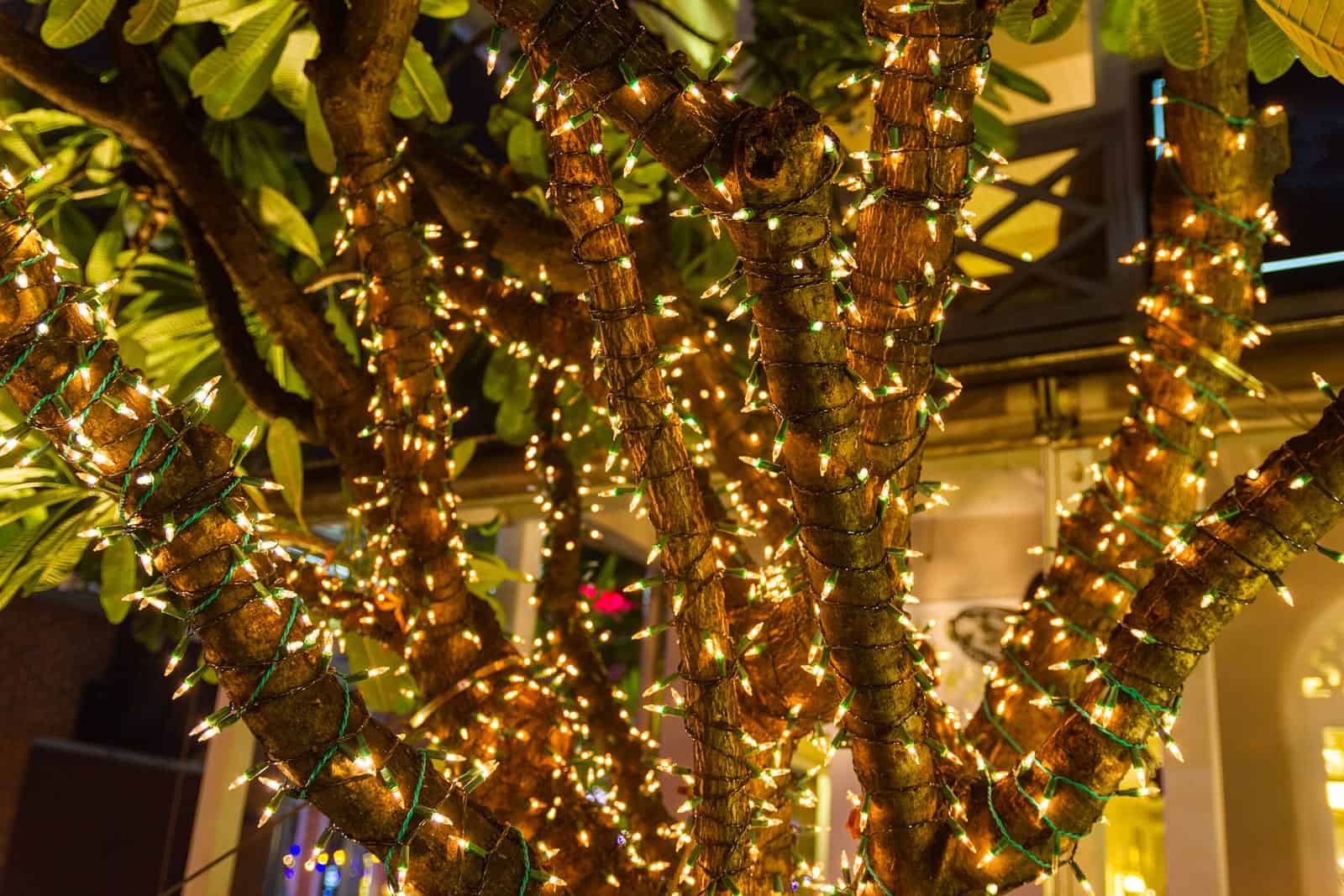 Decorative Outdoor String Lights Hanging On Tree In The Garden A composite decking lighting