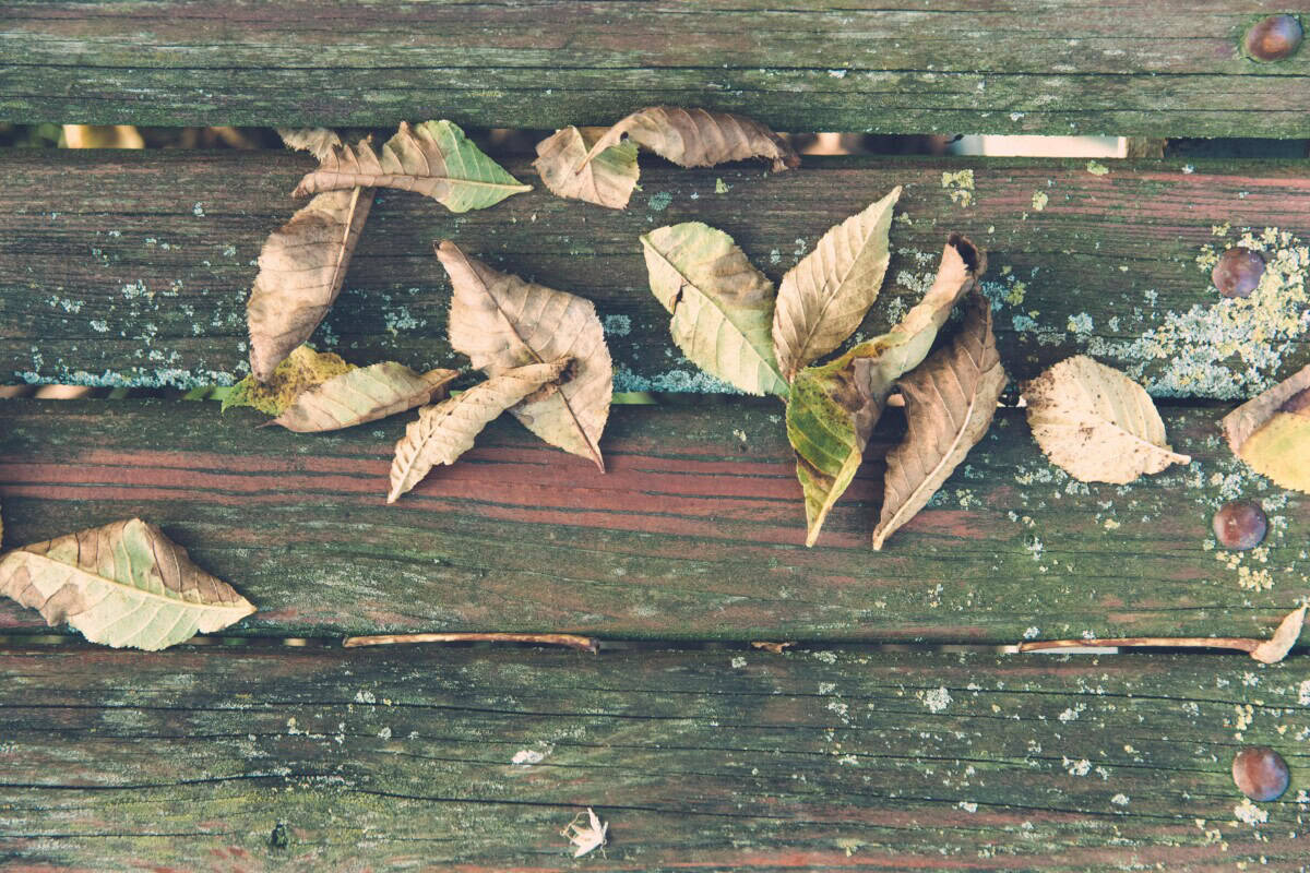 old timber decking that needs replacing